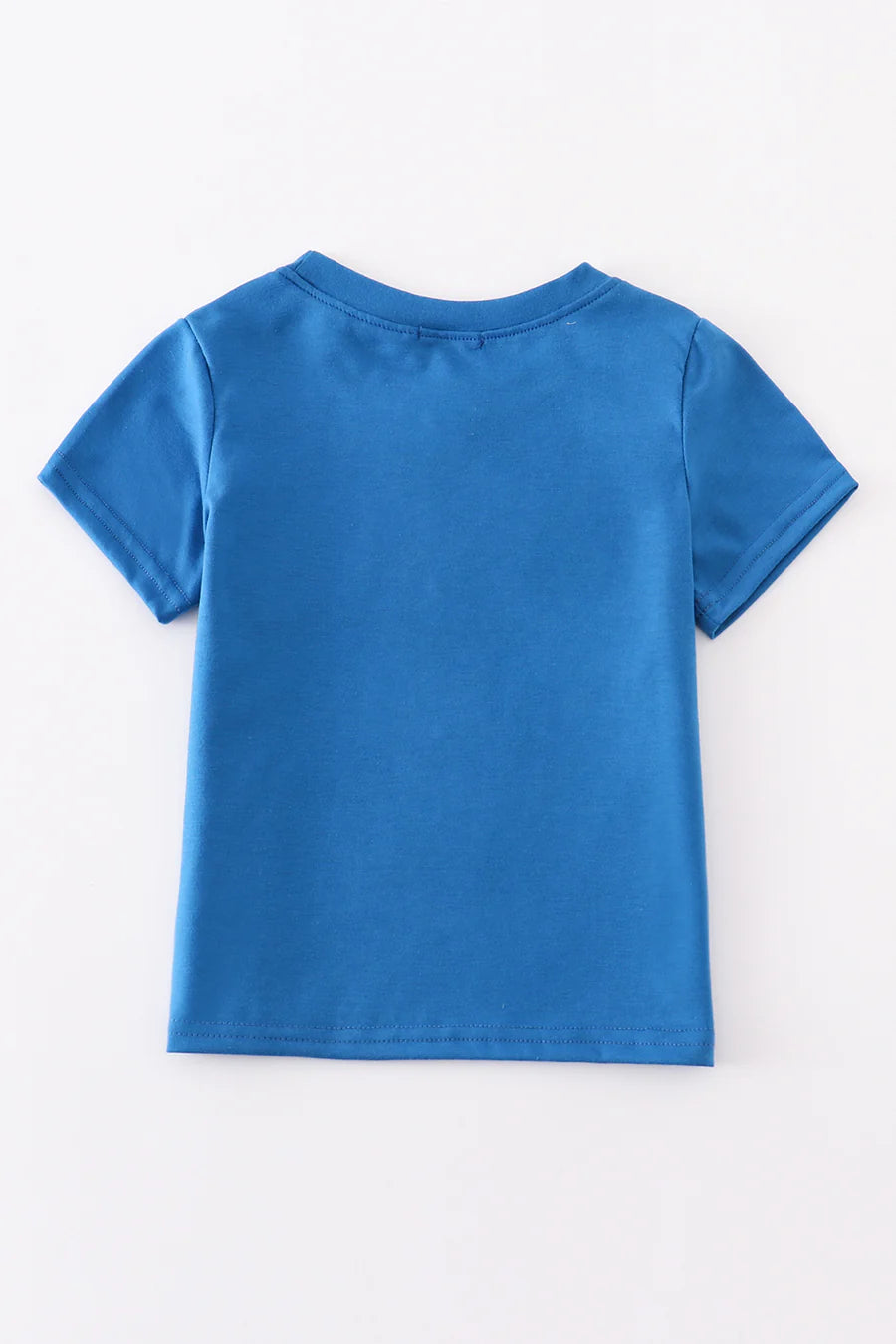 Airplane Embroidered Top